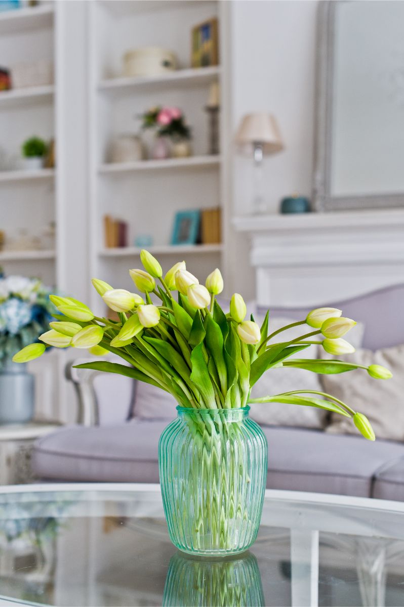 Biele tulipány v tyrkysovej sklenenej váze, sklenený konferenčný stolík a biela knižnica v pozadí.