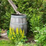 Drevený sud v záhrade na zachytávanie dažďovej vody.