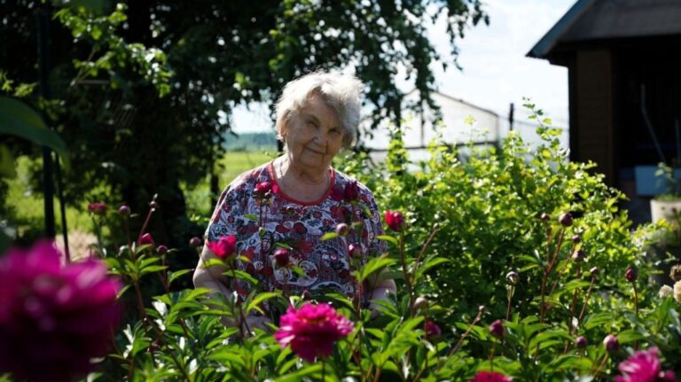 Stará žena v záhrade pri záhone s pivonkami.