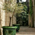 Dva stromčeky vo veľkých zelených kvetináčoch na exteriérovej dlažbe pri budove.