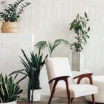 Interiér s béžovým retro kreslom, drevenými opierkami a viacerými zelenými rastlinami v betónových kvetináčoch.