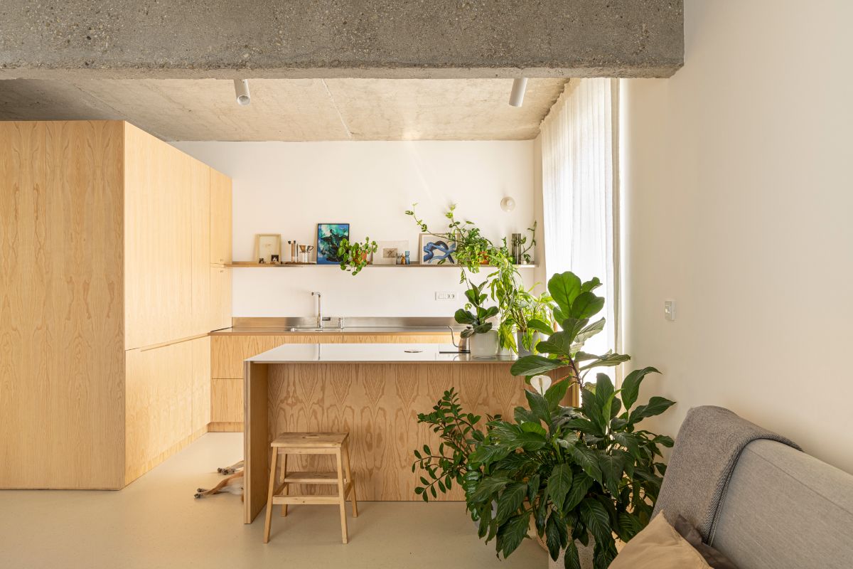 Kuchyňa s minimalistickou drevenou linkou, nerezovou pracovnou doskou, izbovými rastlinami a betónovým stropom.