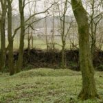 Exteriér domu s betónovou fasádou, šindľovou strechou a vzrastlými listnatými stromami v záhrade.