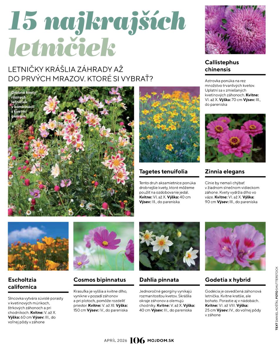 Môj dom 04/2026, 15 najkrajších letničiek.