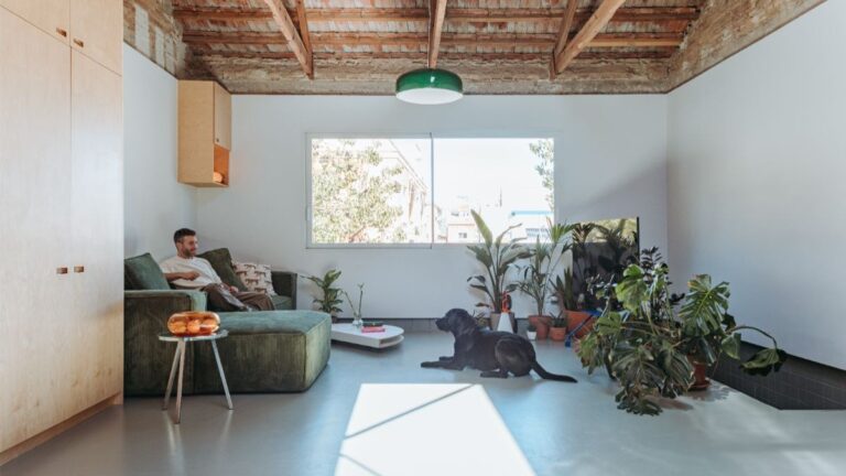 Obývacia izba s olivovou sedačkou, čiernym psom na sivej podlahe a zeleným lustrom pod trámovým stropom.