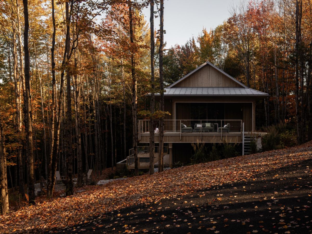 Moderný drevený dom s plechovou strechou, priestrannou terasou a presklenou fasádou v jesennom listnatom lese.