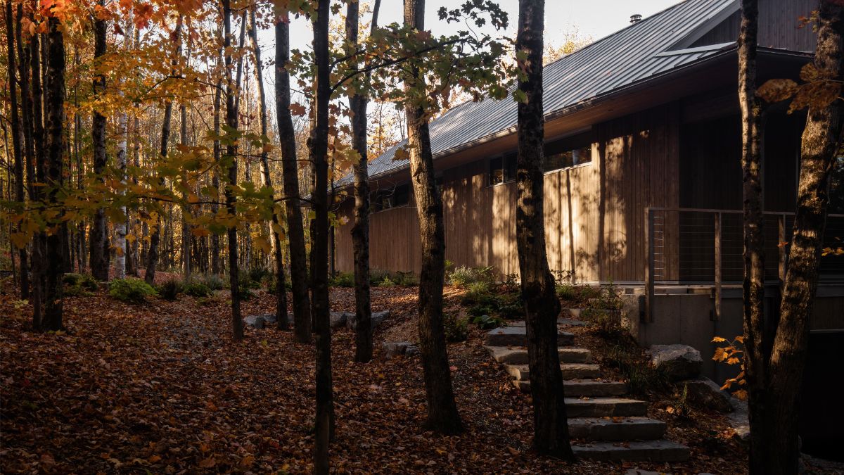 Názov projektu Perchée znamená vo francúzštine posadený alebo vyvýšený. Vystihuje to spôsob, ako architekti pristupovali k stavbe domu v lesnom prostredí.
