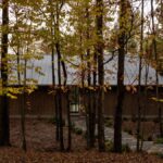 Chata v lese s plechovou strechou a drevenou fasádou.