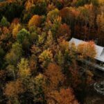 Pohľad z výšku na dom s plechovou strechou, drevenou fasádou a širokou terasou v lese.