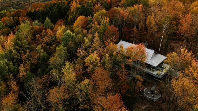 Pohľad z výšku na dom s plechovou strechou, drevenou fasádou a širokou terasou v lese.