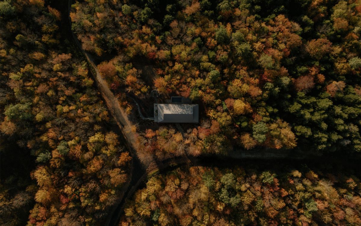 Dom je z každej strany skrytý medzi stromami.