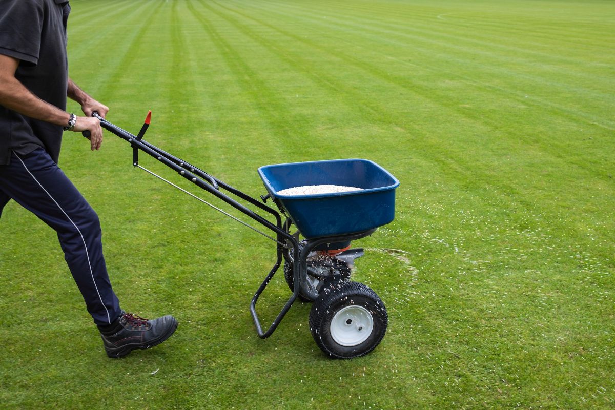 Pri hnojení trávnika si dávajte pozor na jeho rovnomerné rozloženie. Inak hrozí, že bude rozlične zafarbený.