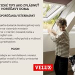 Grafika - Praktické tipy, ako zvládnuť horúčavy doma, odporúčania veterinárky.