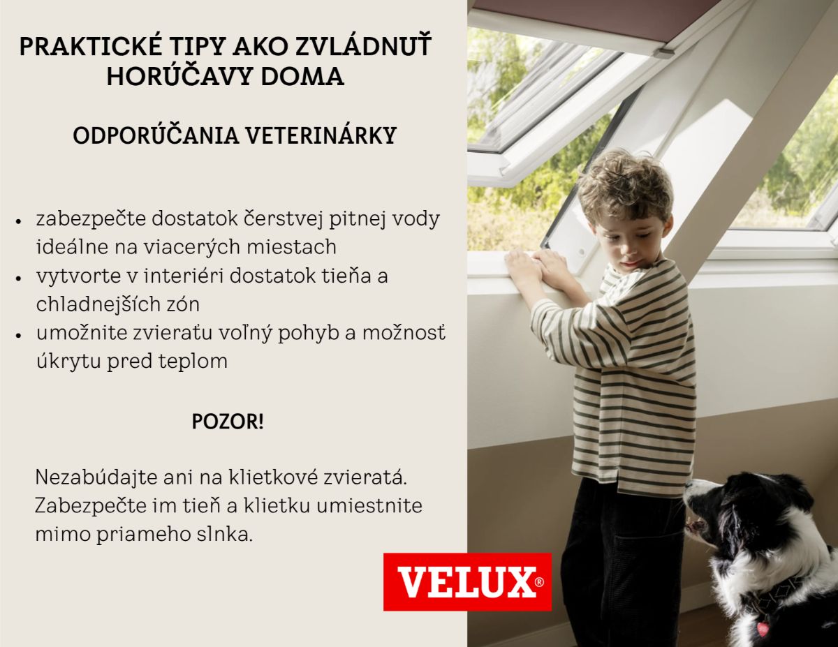 Grafika - Praktické tipy, ako zvládnuť horúčavy doma, odporúčania veterinárky.